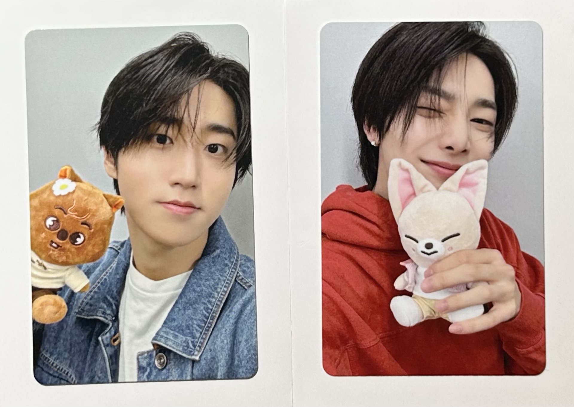 🌟zootopia滿額卡-城寅