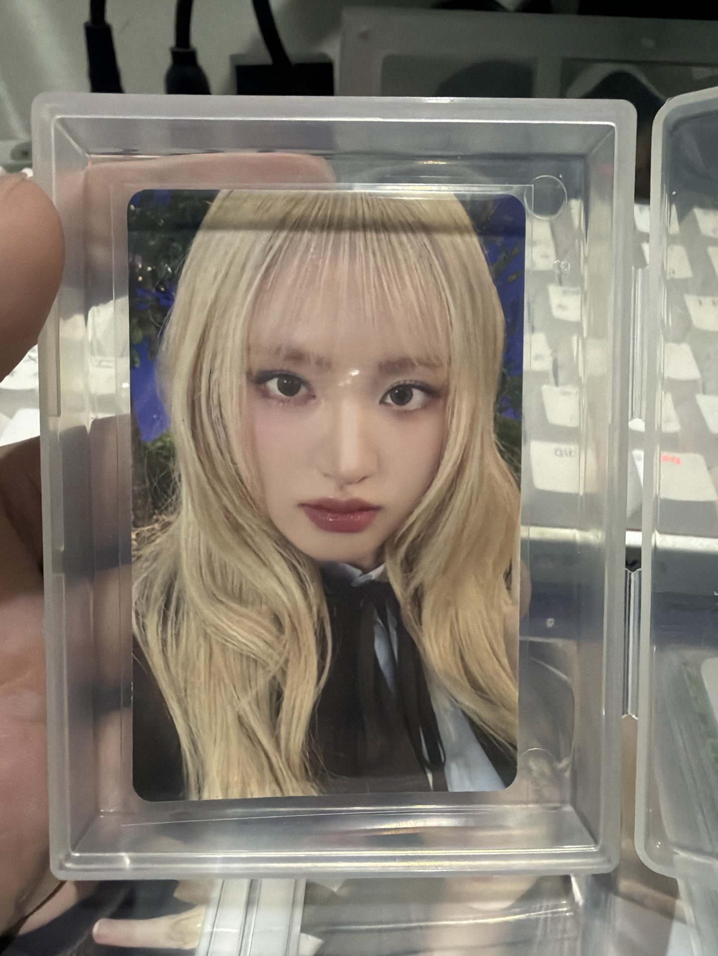 25’ FC IVE SCOUT 隨機卡 Liz