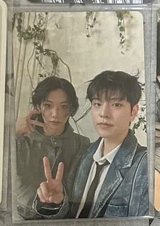 Hollow貓狗雙人卡