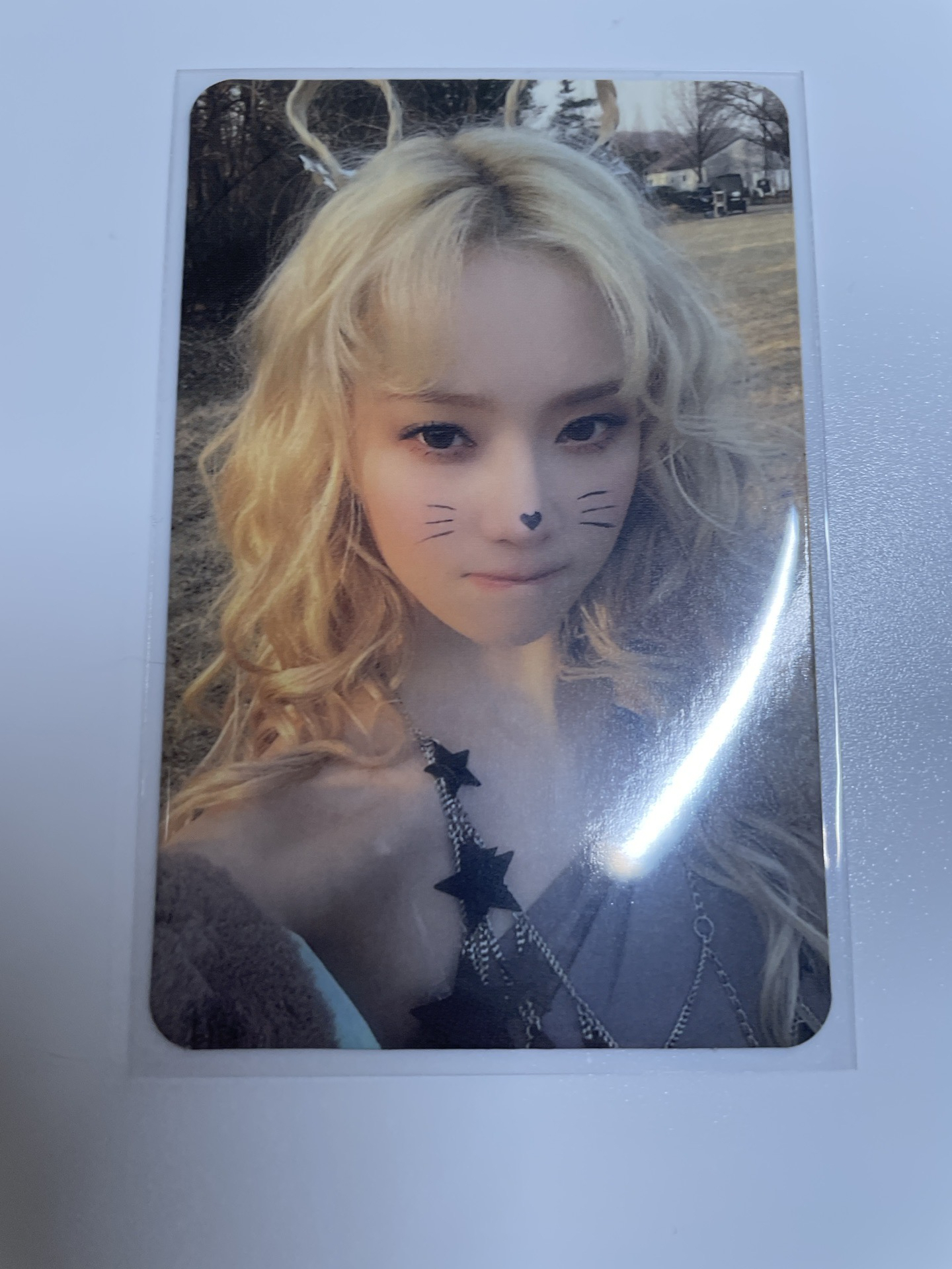 世界末日專卡 貓咪冬