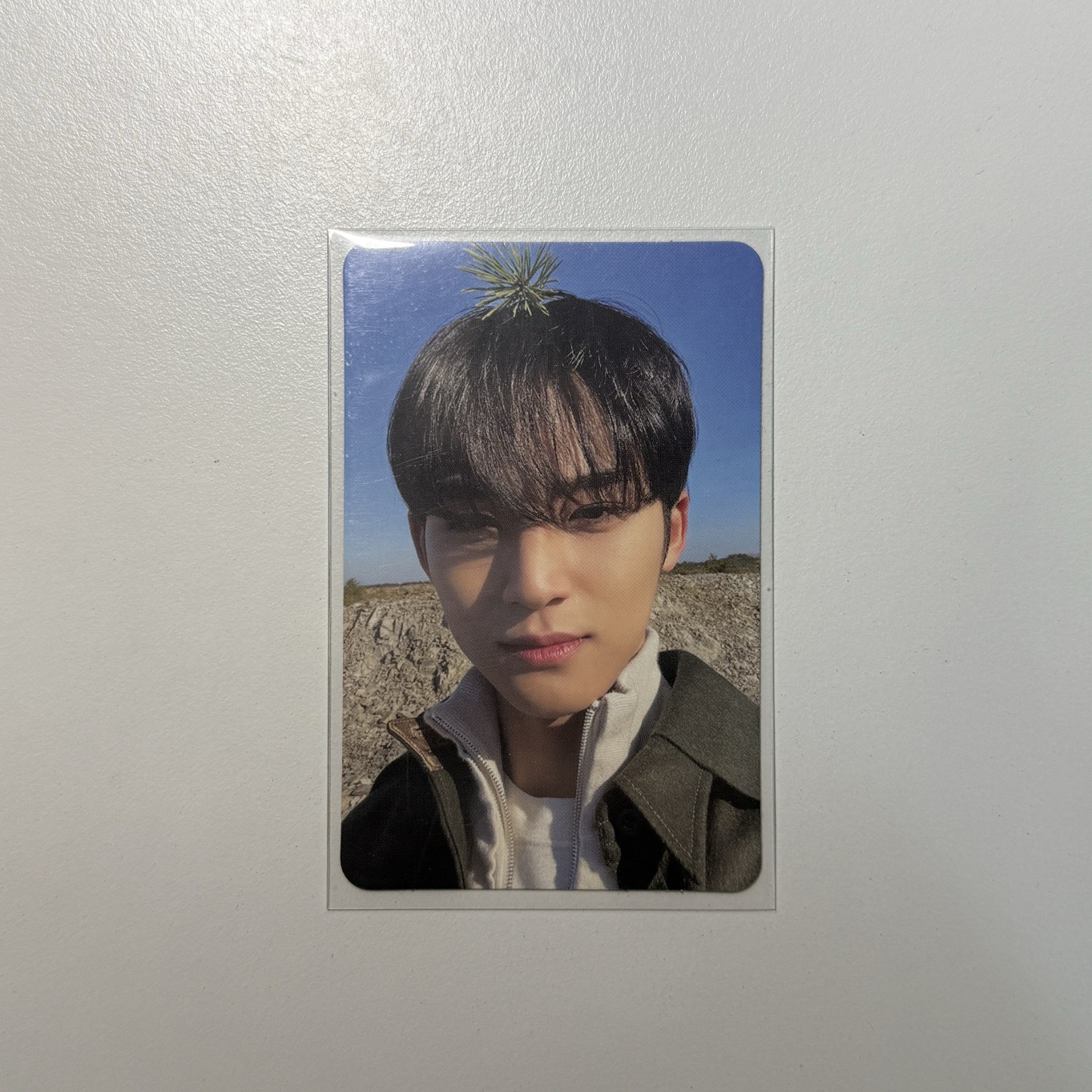 SVT 玟奎 正四頂草奎