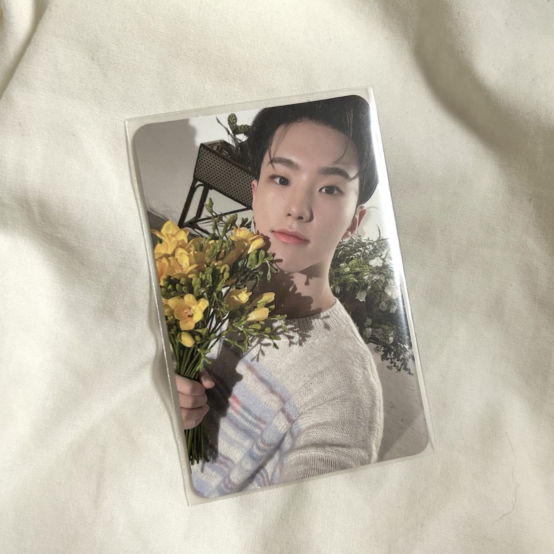 榮｜迷八專卡 捧花榮