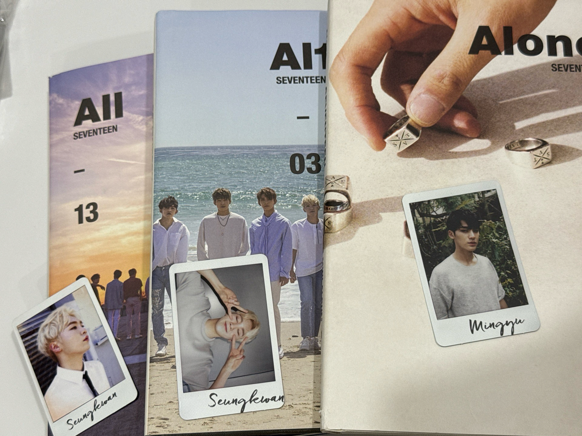 SEVENTEEN |迷二全專