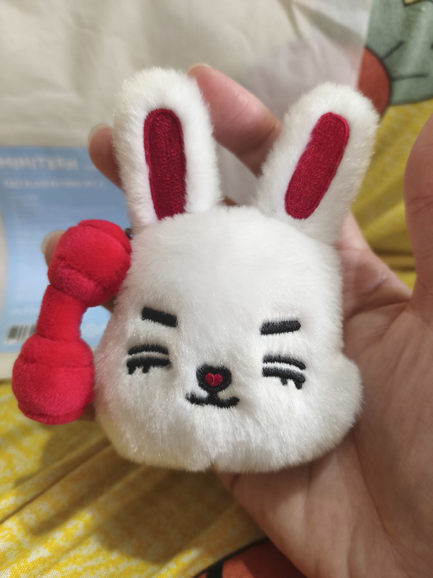 MINITEEN FACE PLUSH KEYRING CHOITCHERRY (WT_F)