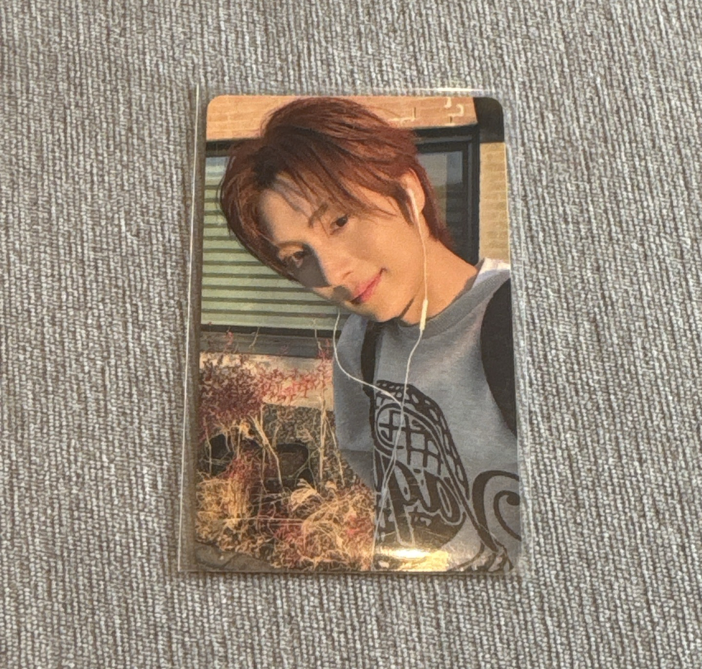 迷三 樂天預售 崔英宰