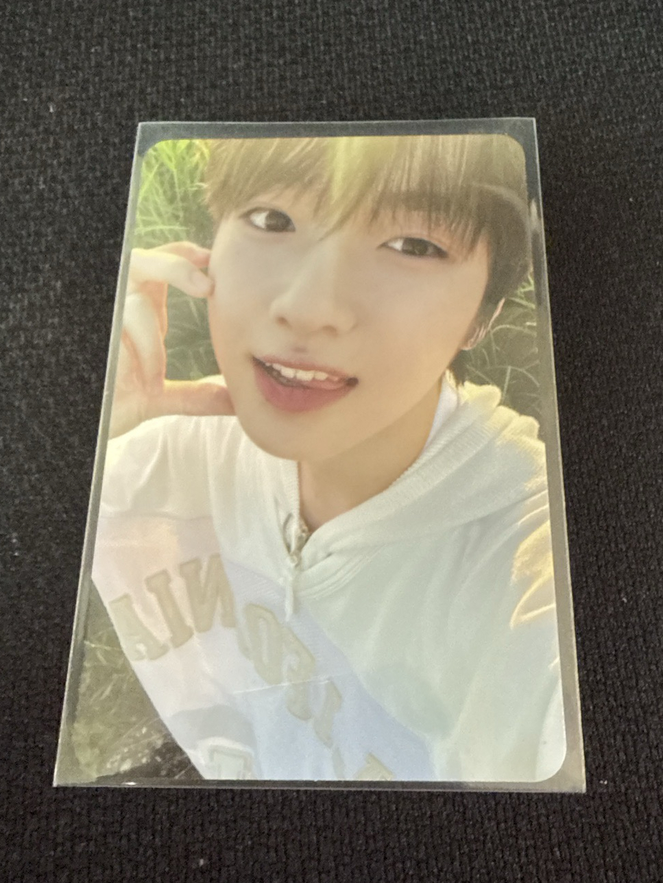 Nct wish Sakuya Steady自拍隨機卡