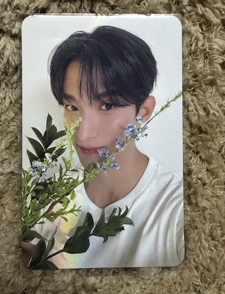 精選專 克拉盤 碩卡