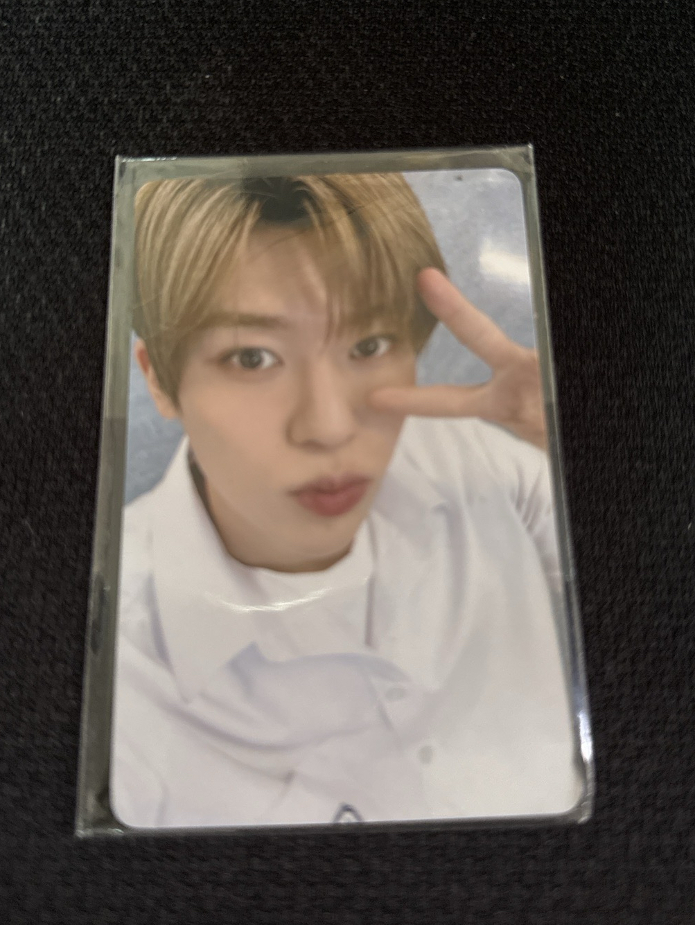 Nct wish Sion school of wish 入場卡