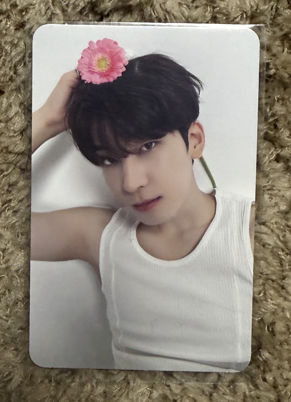 精選專 克拉盤 圓卡