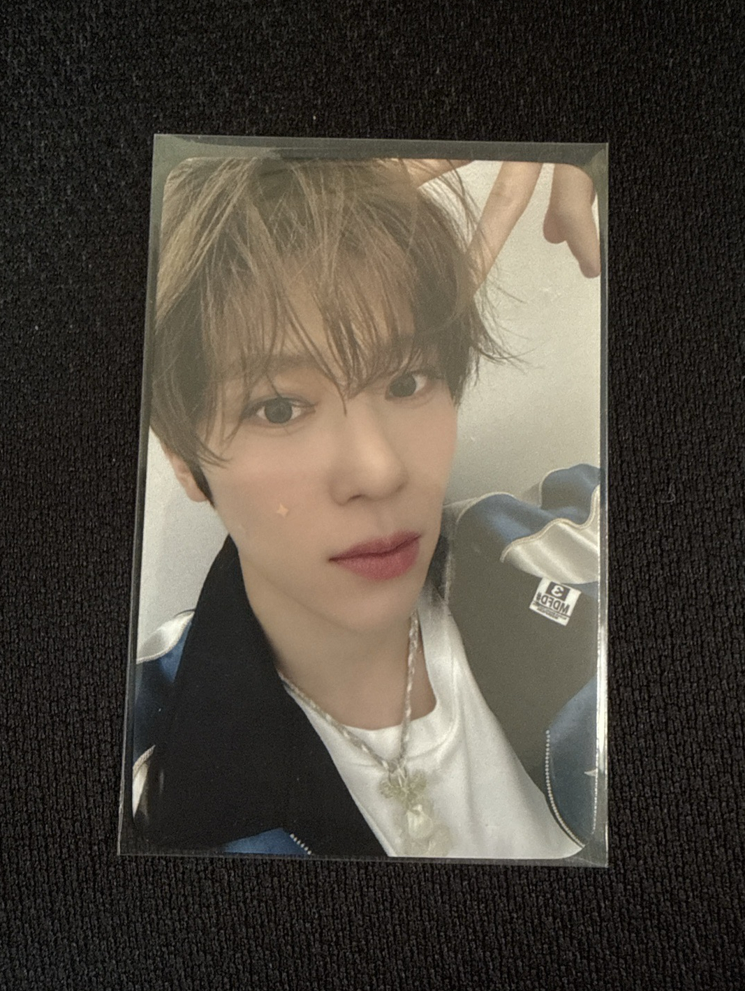 Nct wish Sion Steady Sw幸運卡