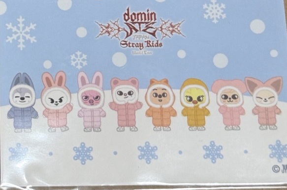 冬季SKZOO全部變輪胎