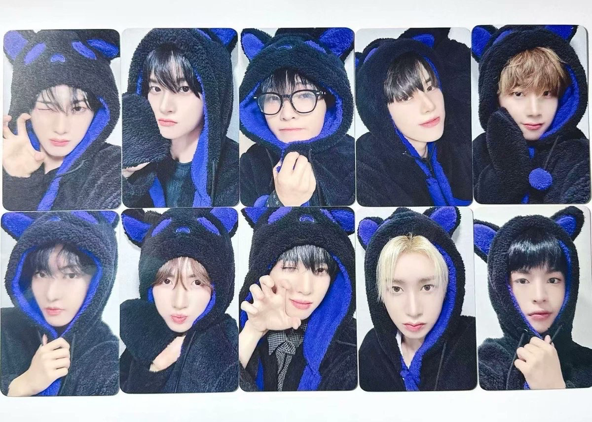 迷五 黑貓🐈‍⬛