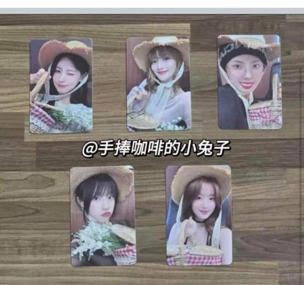 貓爪妮+野餐妮