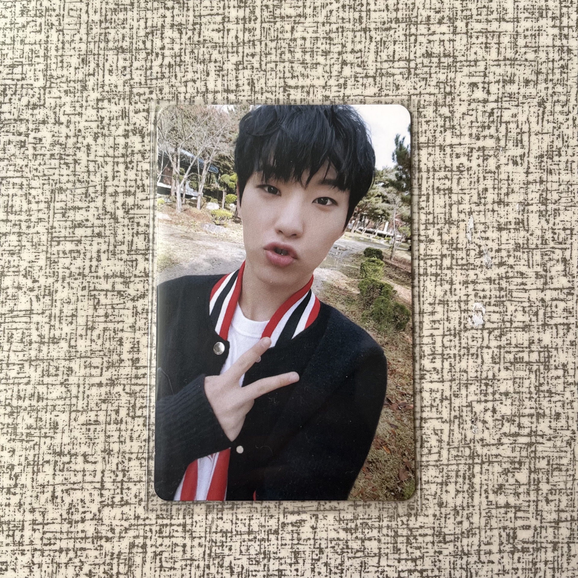 SEVENTEEN｜HOSHI 權順榮 迷三專卡