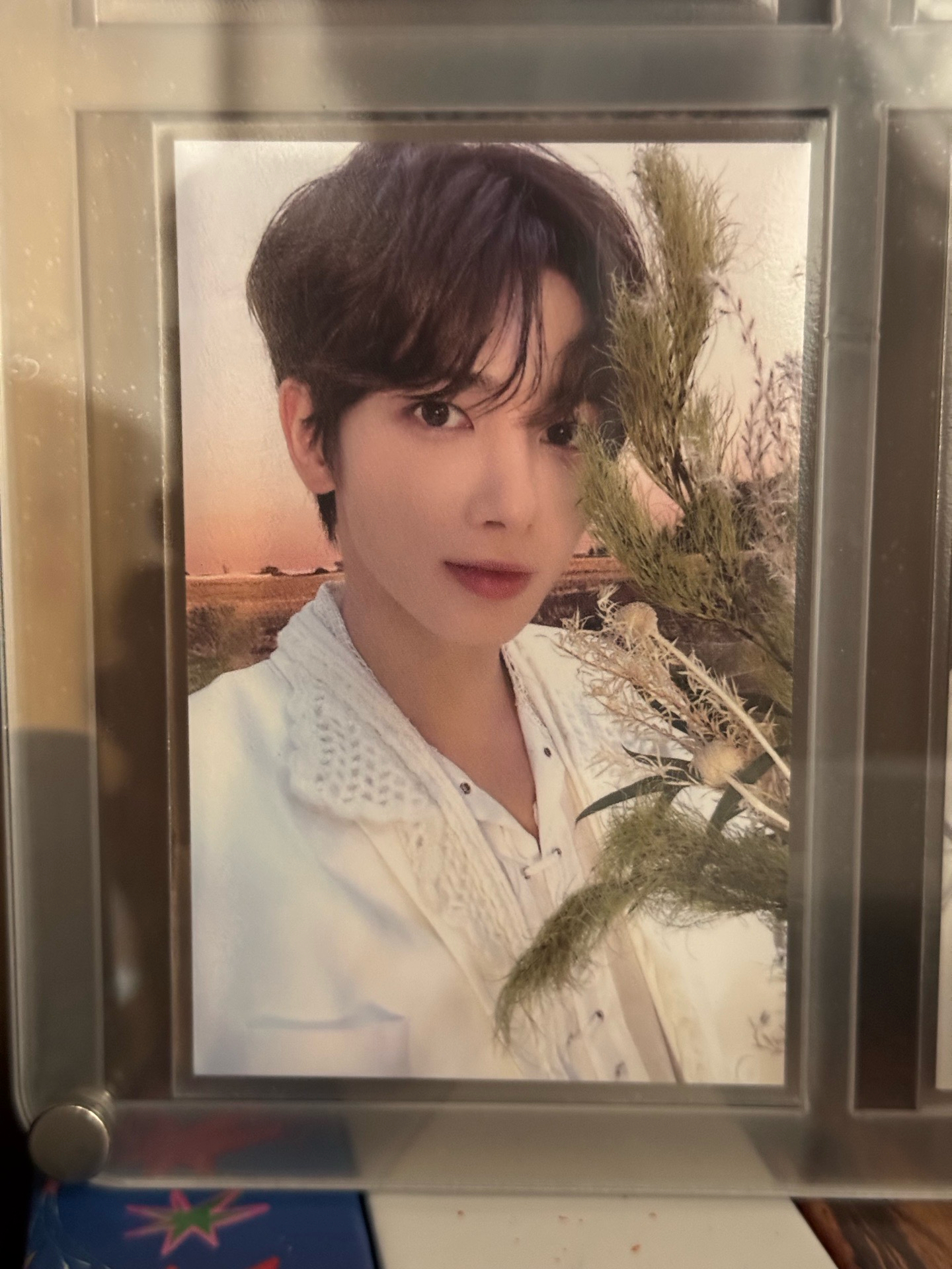 TXT MOAZONE 姜太顯