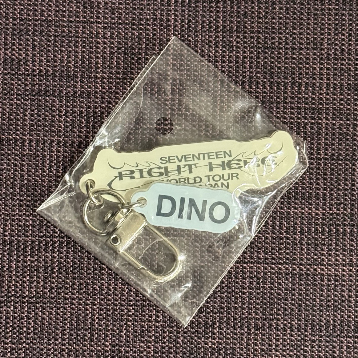 💛SEVENTEEN｜燦｜RIGHT HERE 日巡扭蛋 吊飾