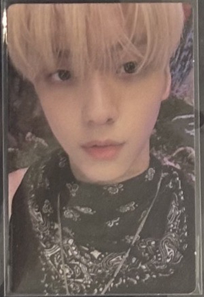 白髮兔子男電子專卡