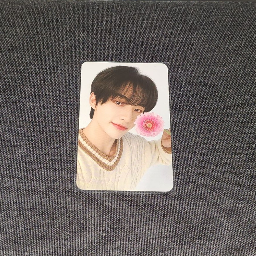 NACIFIC10.0超級萌萌雙面花卡辰