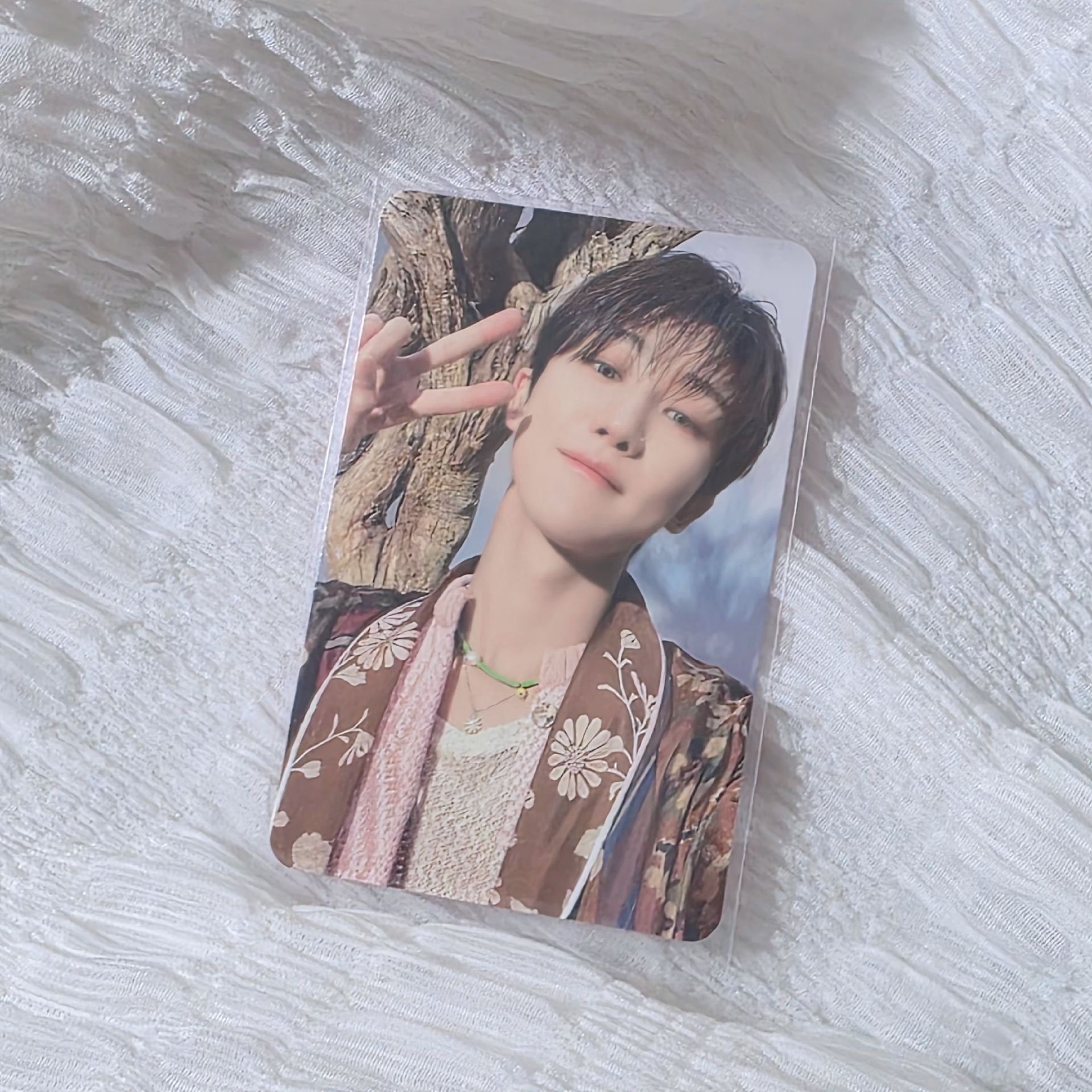 剪刀石頭布 你是我全部𐔌՞. .՞𐦯⋆.