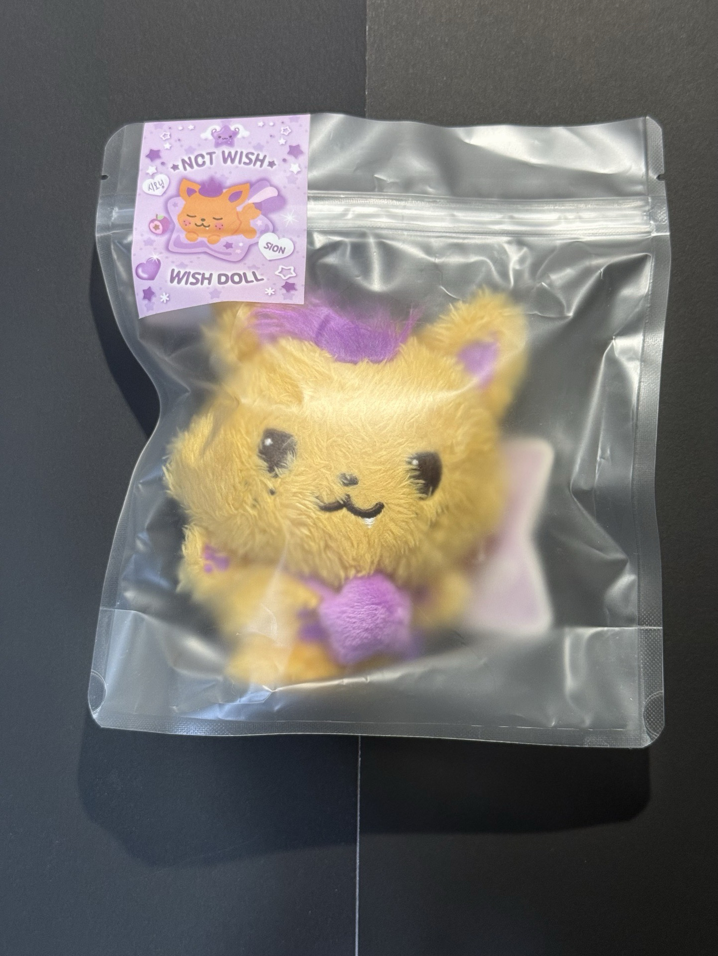 現貨sioning 全新未拆 現下單保證228演唱會前能拿到