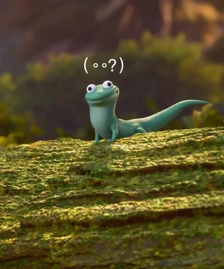 無聊魚（下單默認已看過賣家簡介