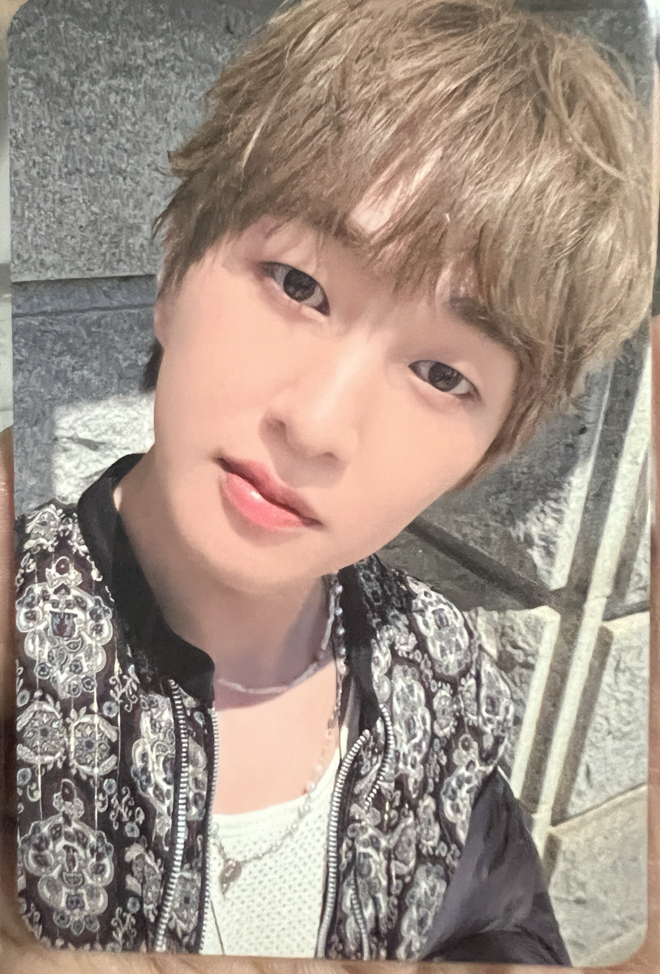 溫流 poet artist 特典卡