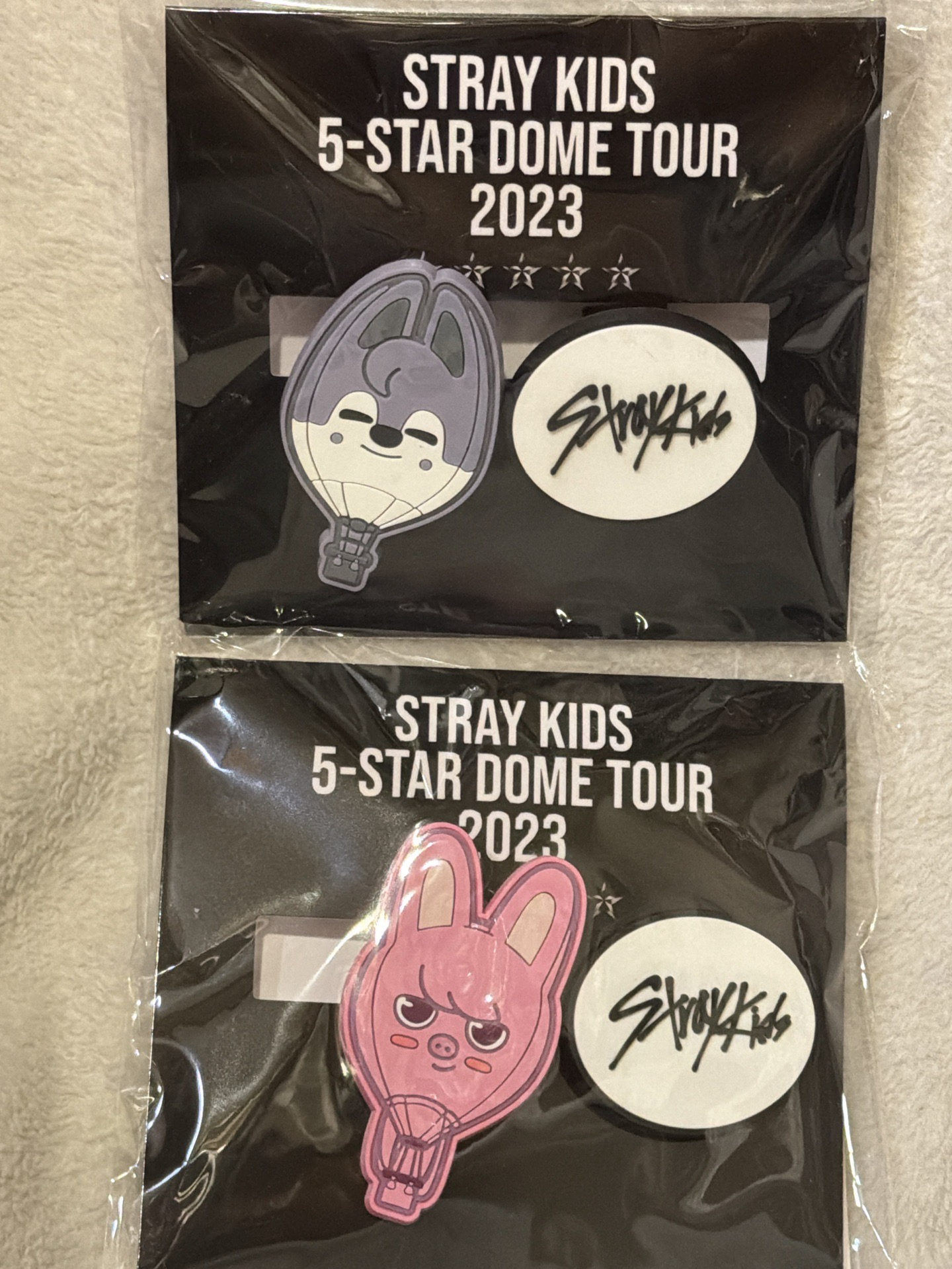 SKZ 蛋巡一番賞D賞 燦/彬