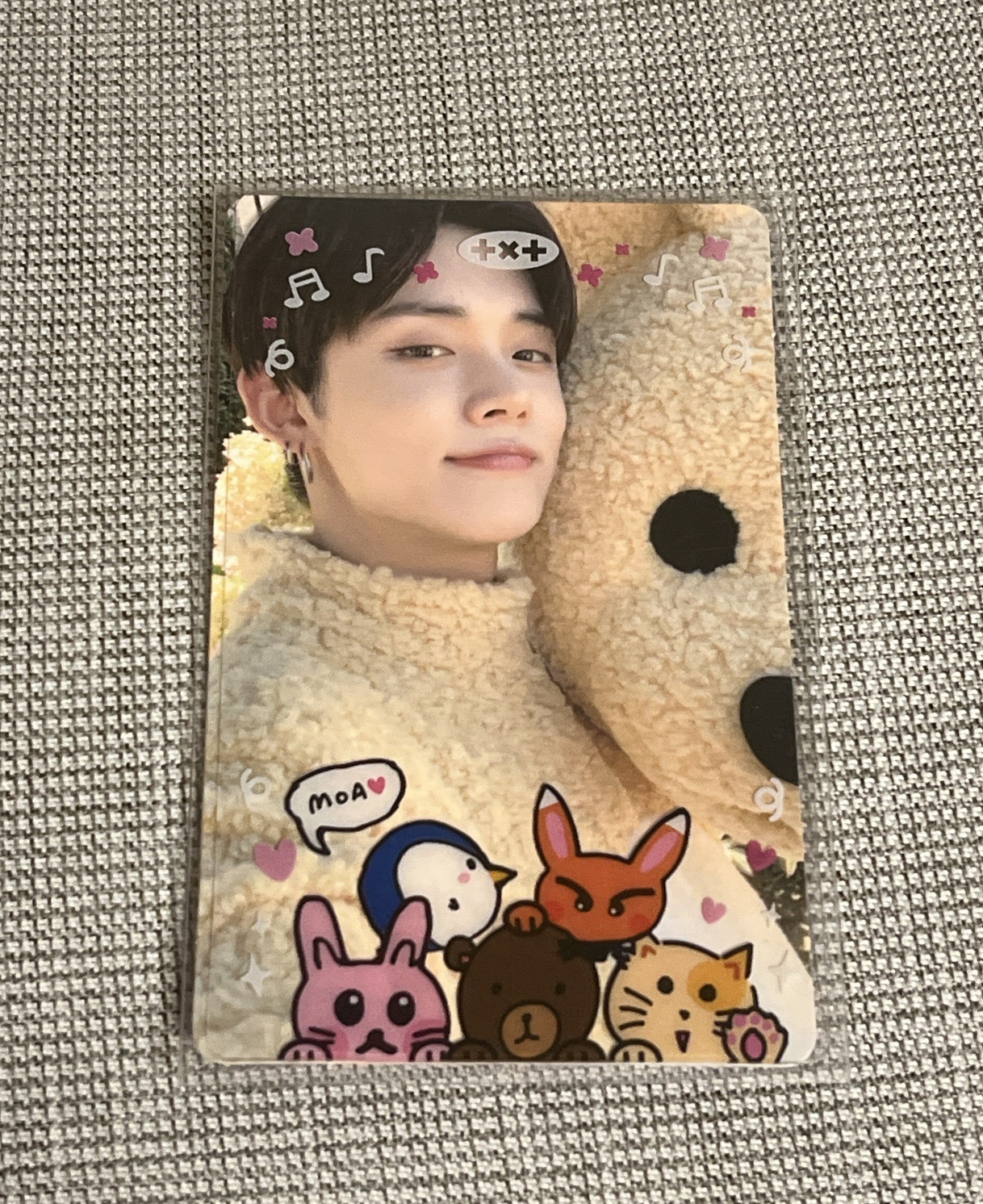 小熊 崔然竣（含透卡）