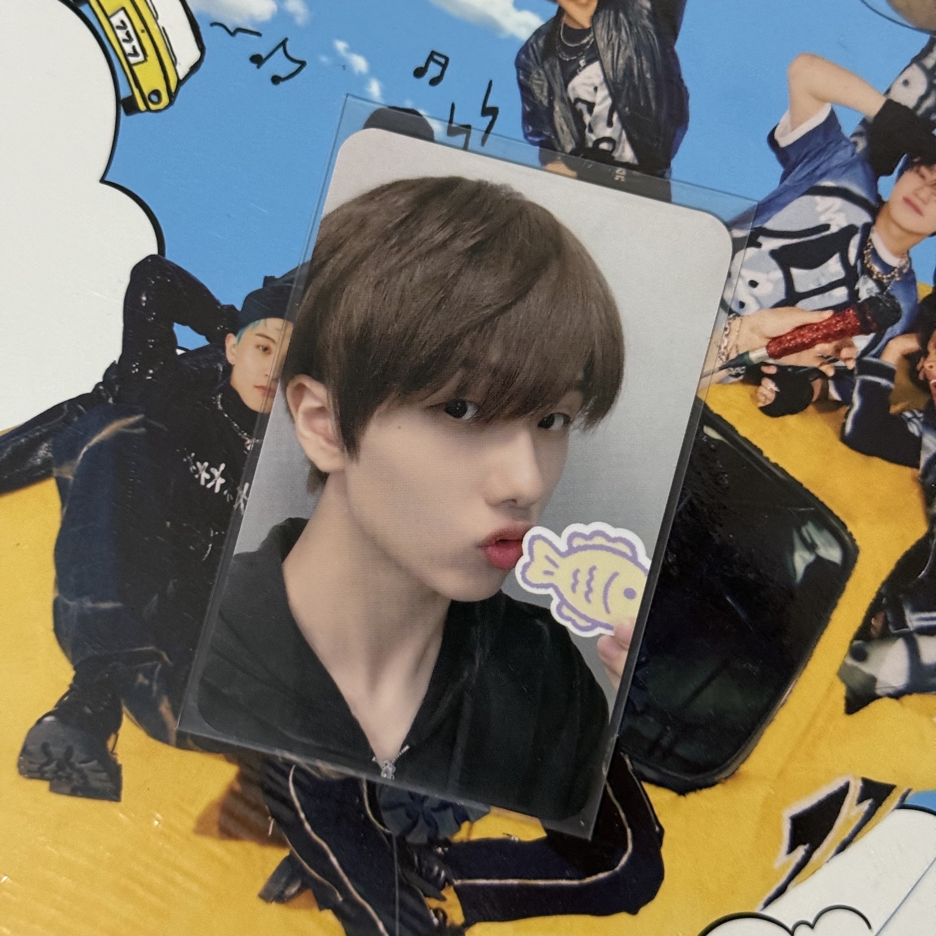 三麗鷗卡套星🐹🌟