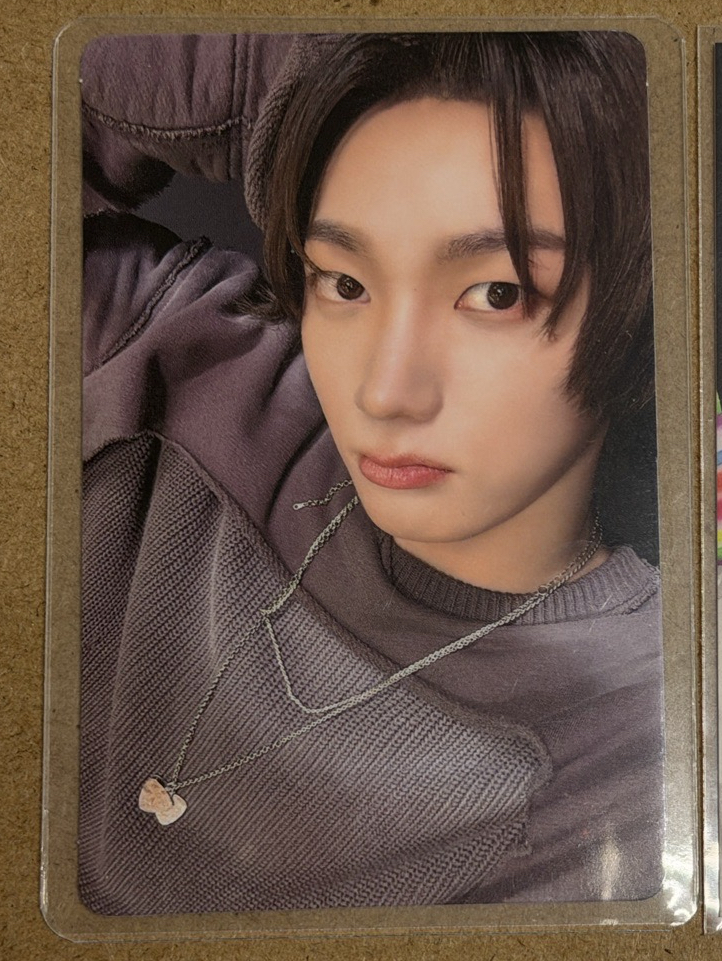 沒看過貓嗎！喵！-19.99專卡-成淏