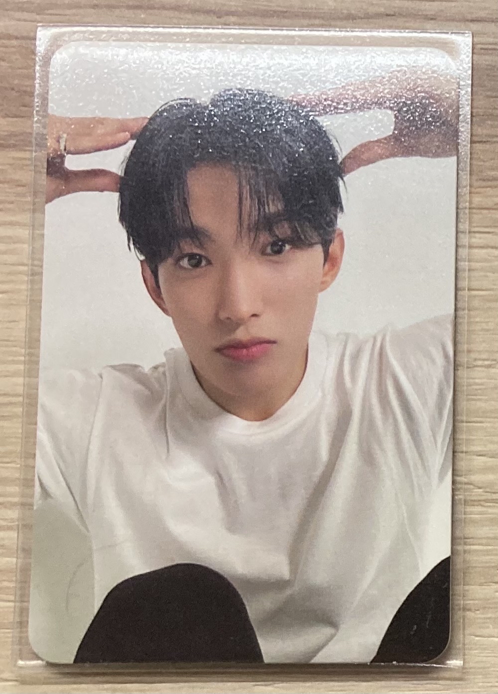 狗狗碩本體50含綁出