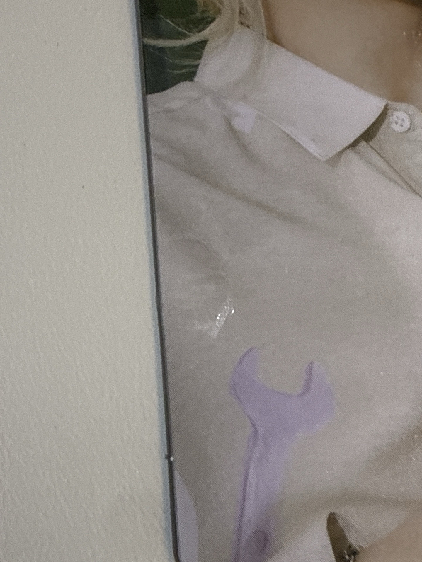 SEVENTEEN |迷九時期卡