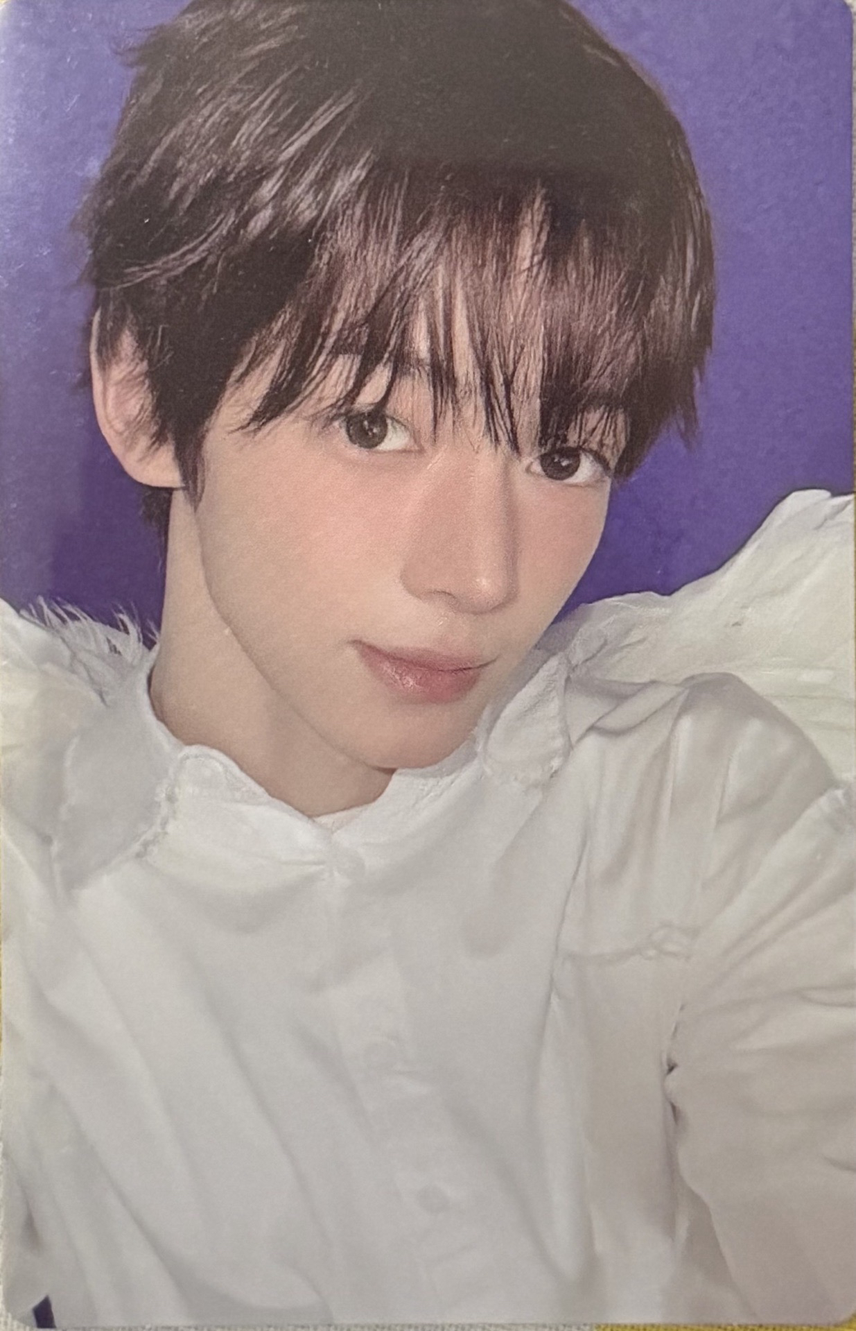 韓振 迷你四單封專卡