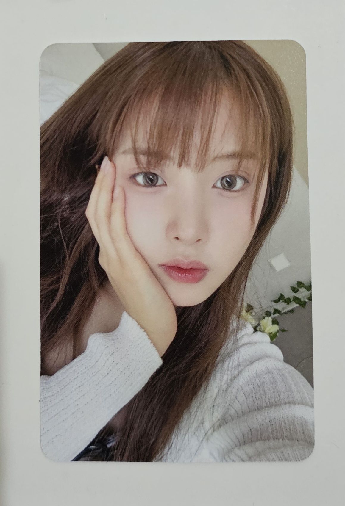 sr 8.0 簽售卡 一套6張