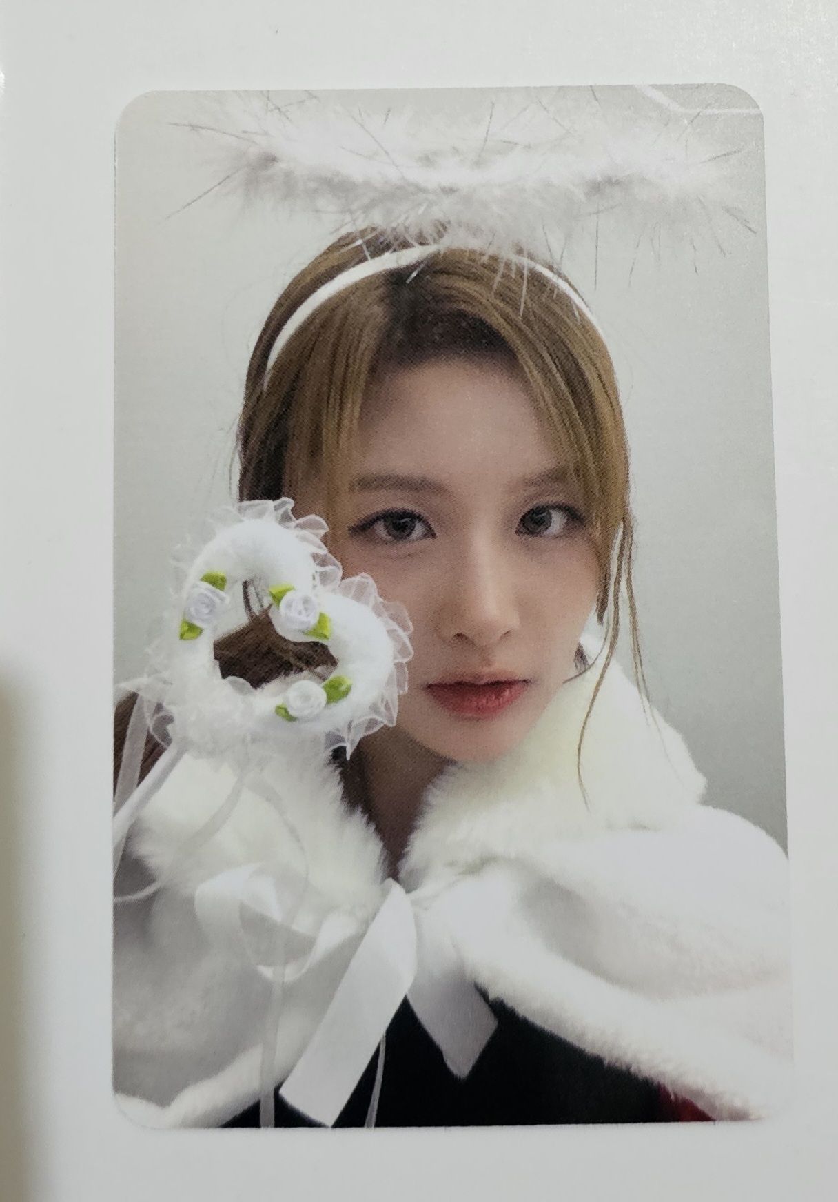 am 6.0 簽售卡 天使惡魔 ver. 一套6張