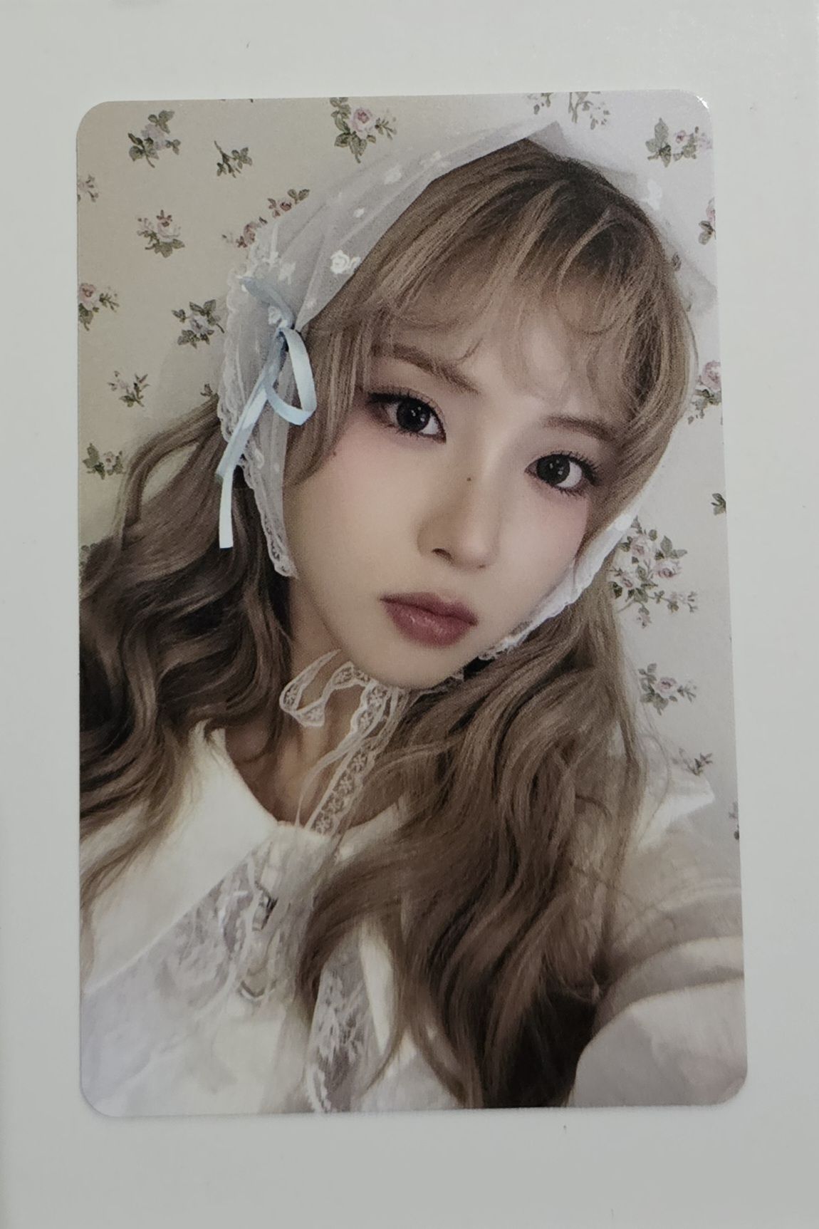 三期會員 會員禮卡 一套6張