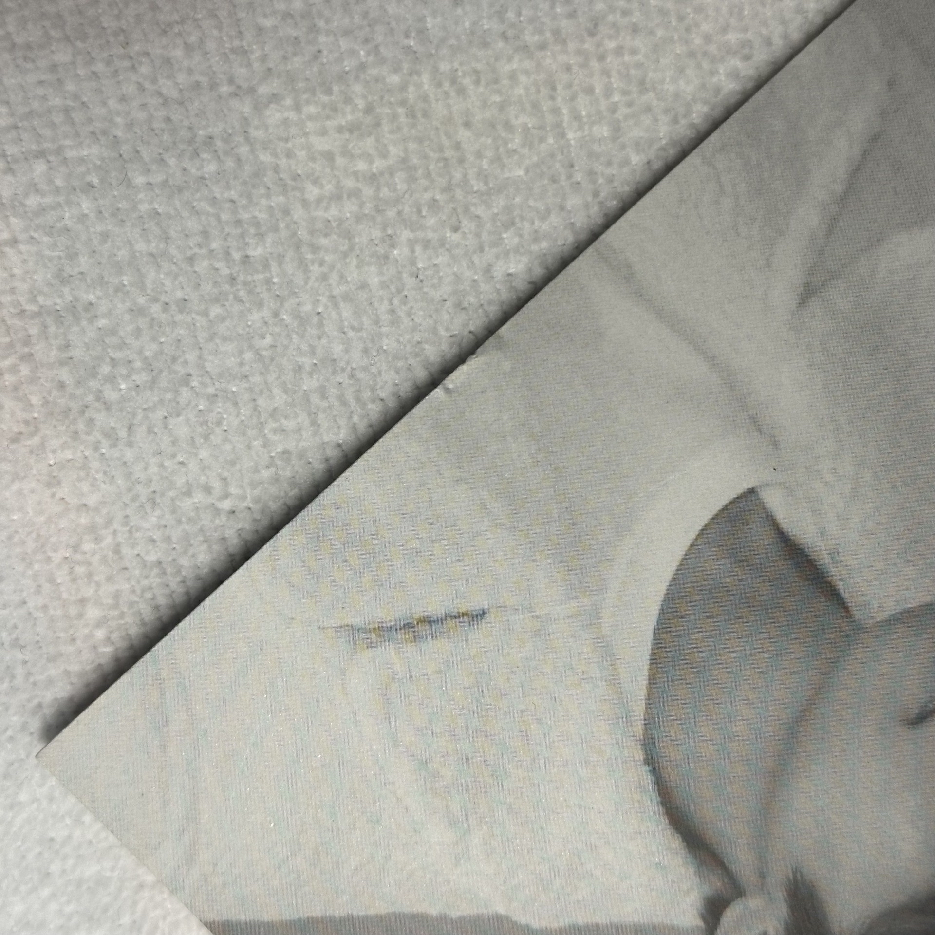 SEVENTEEN 小海報—YMMD｜全圓佑