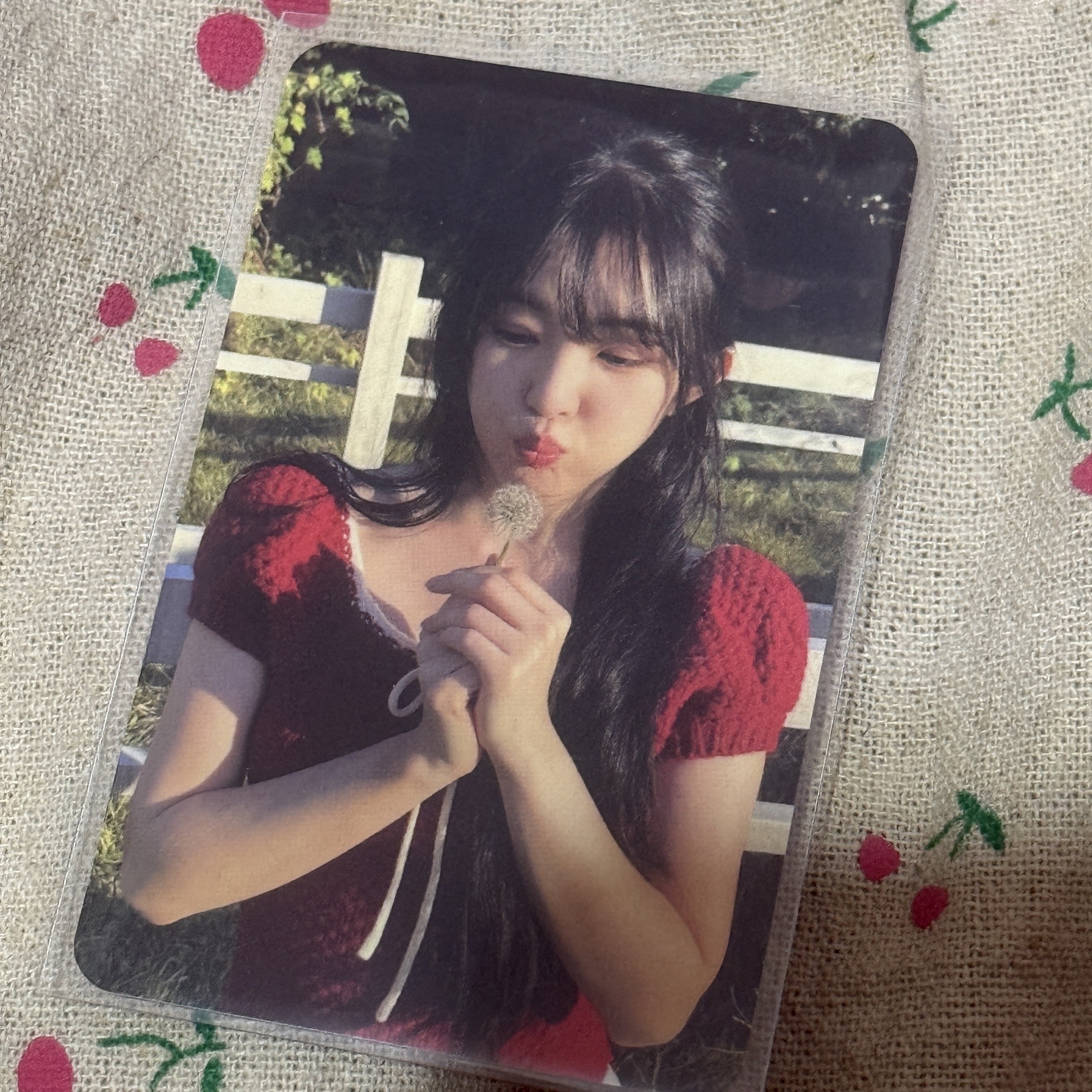 RV CHILL KILL BAG VER IRENE 專輯卡