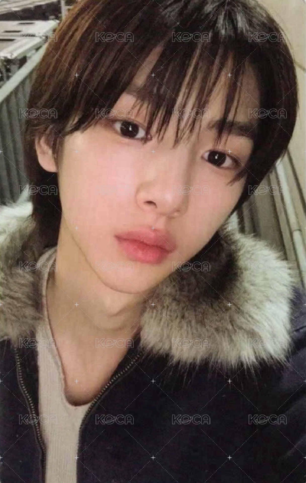 迷一 wvs 特典卡 2025年末禮訓