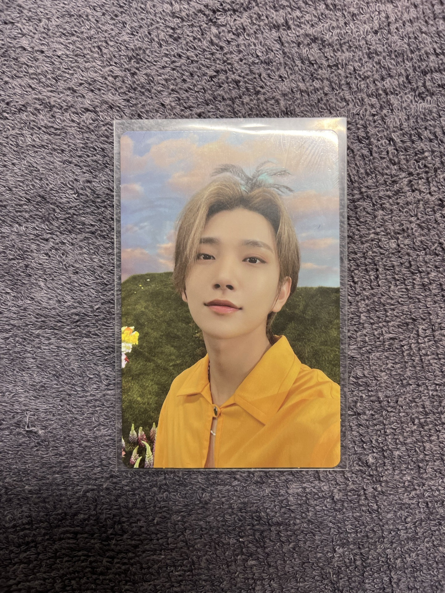 洪知秀 正四後續專卡