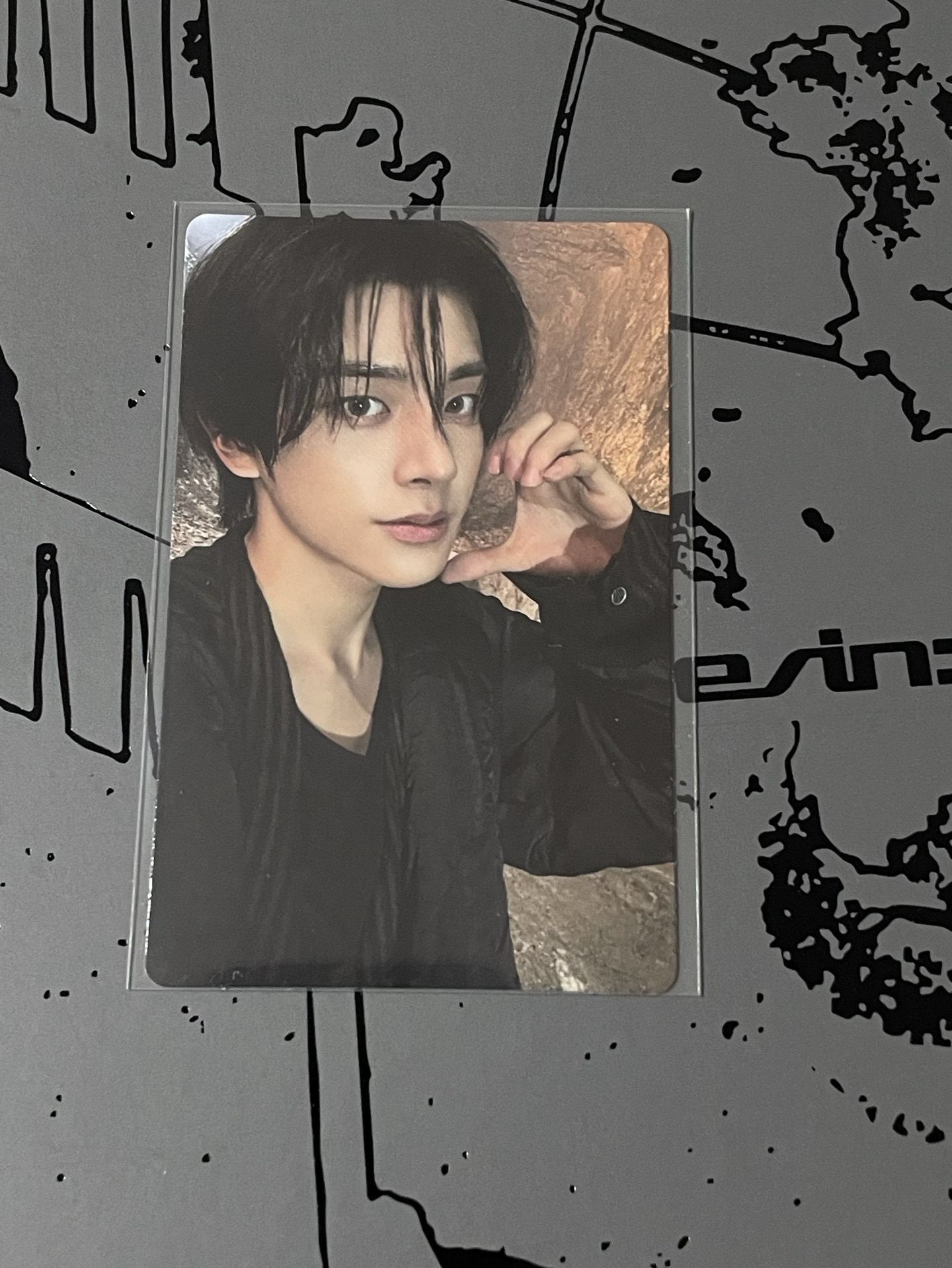 吸血鬼小狗🐕 （wvs特典）