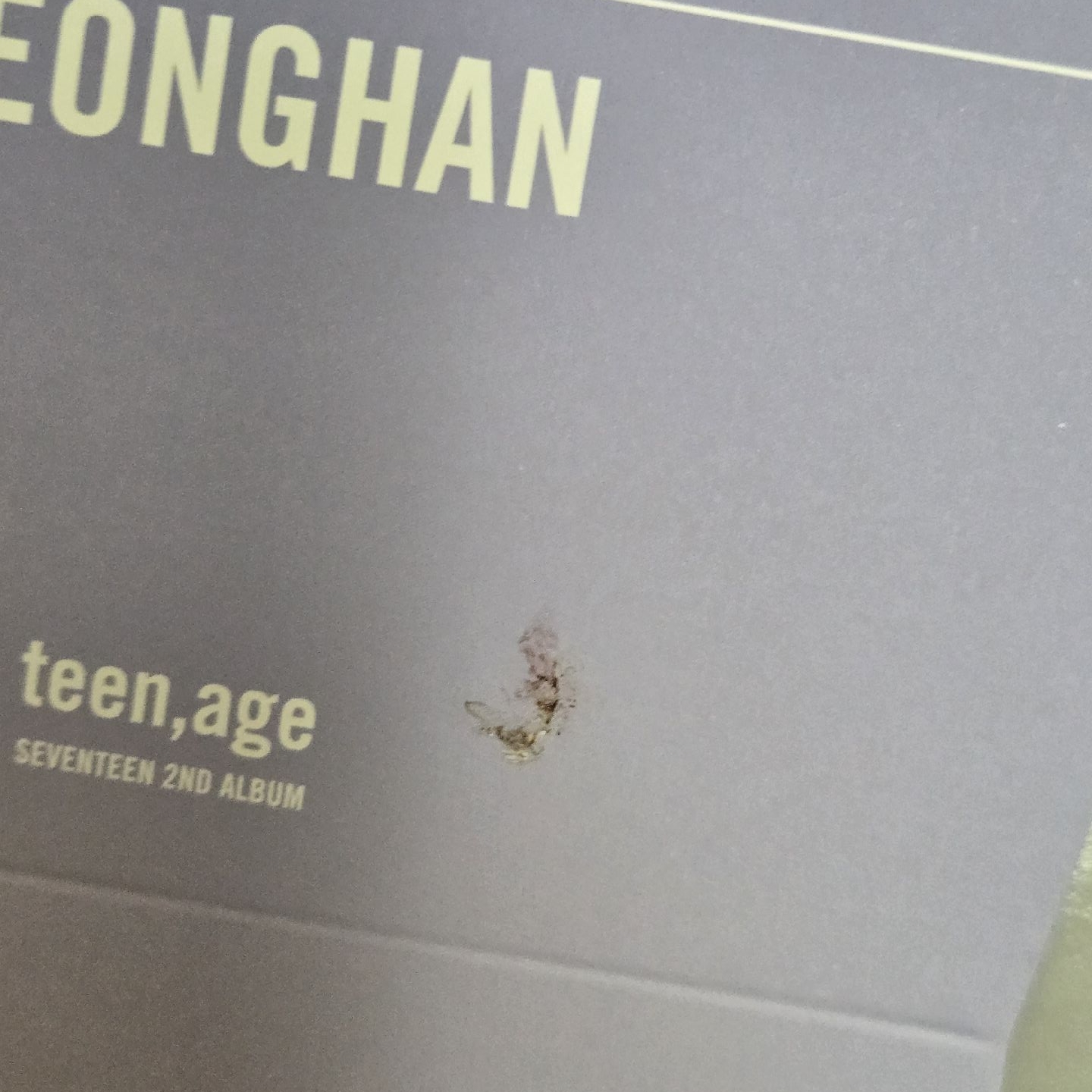 Seventeen正規二全專