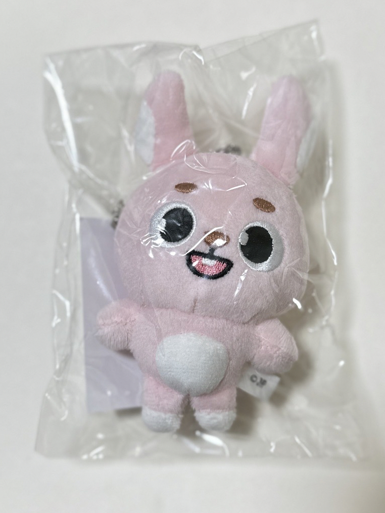 2024日巡週邊11cm娃娃🐰