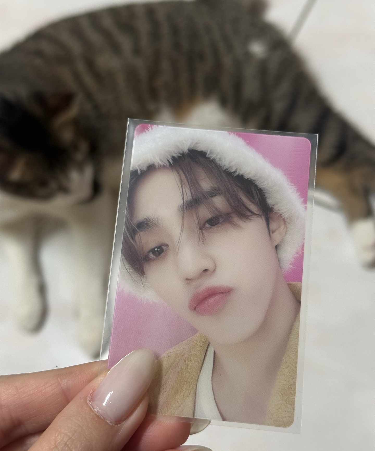 日本特典透卡嘟嘟嘴崔勝喆 免包手