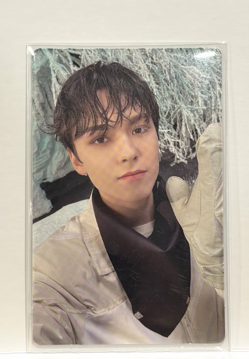 Seventeen小卡/Vernon