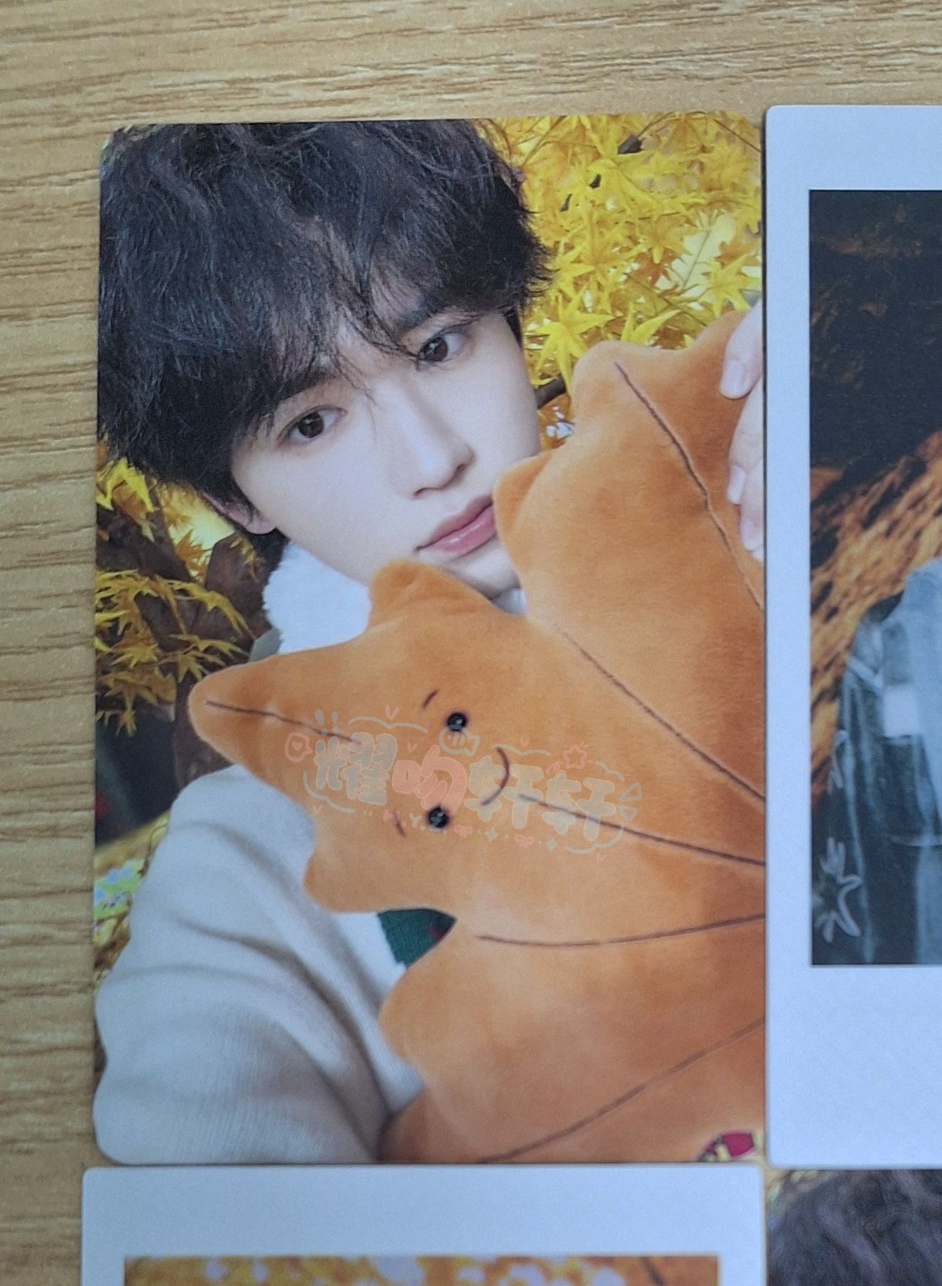 亞軒秋日記憶單人款固卡