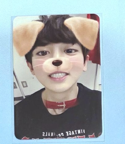 EXO For Life冬專專卡 燦烈 狗狗燦