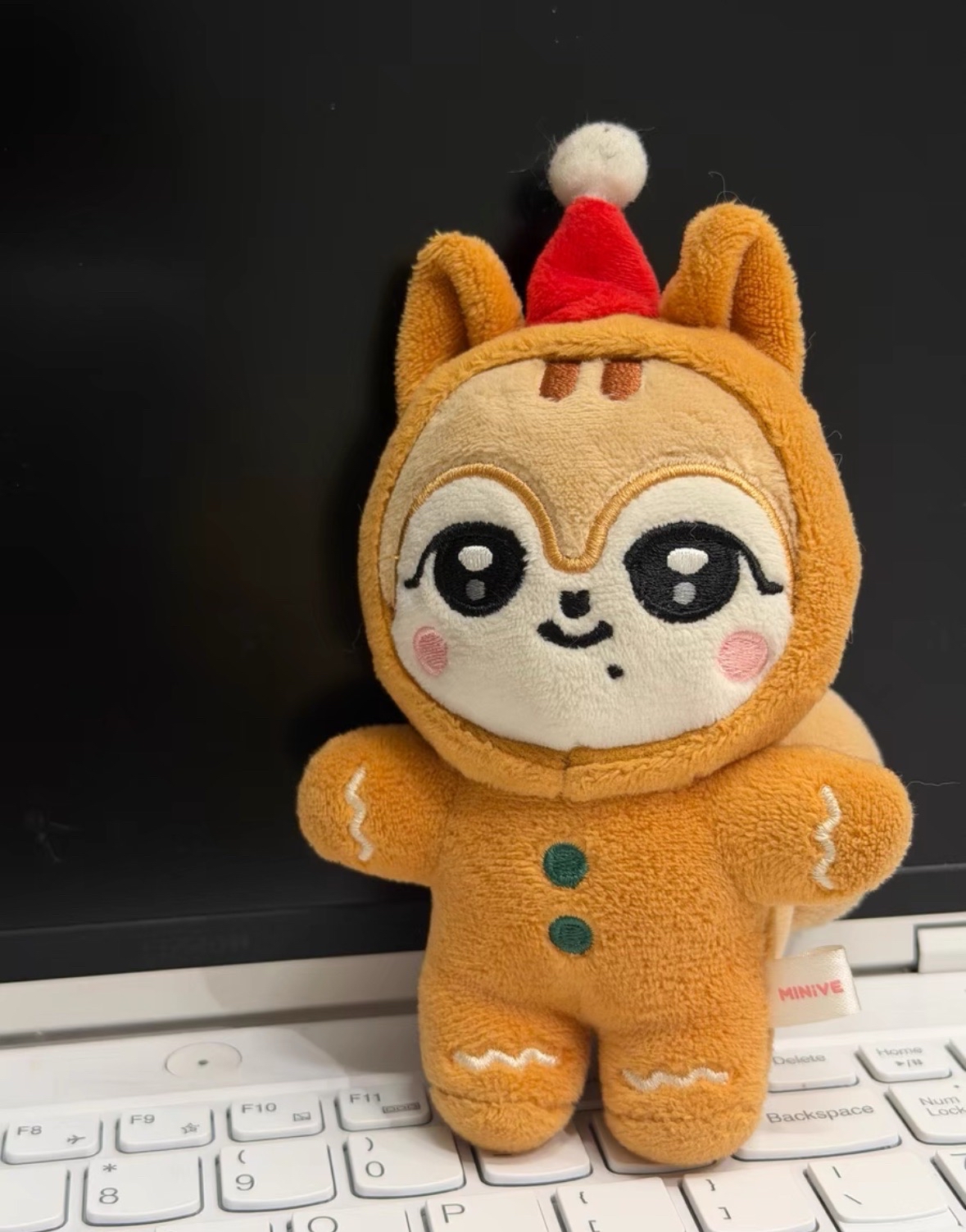 秋天Gaeul MINIVE DAL-E 聖誕娃