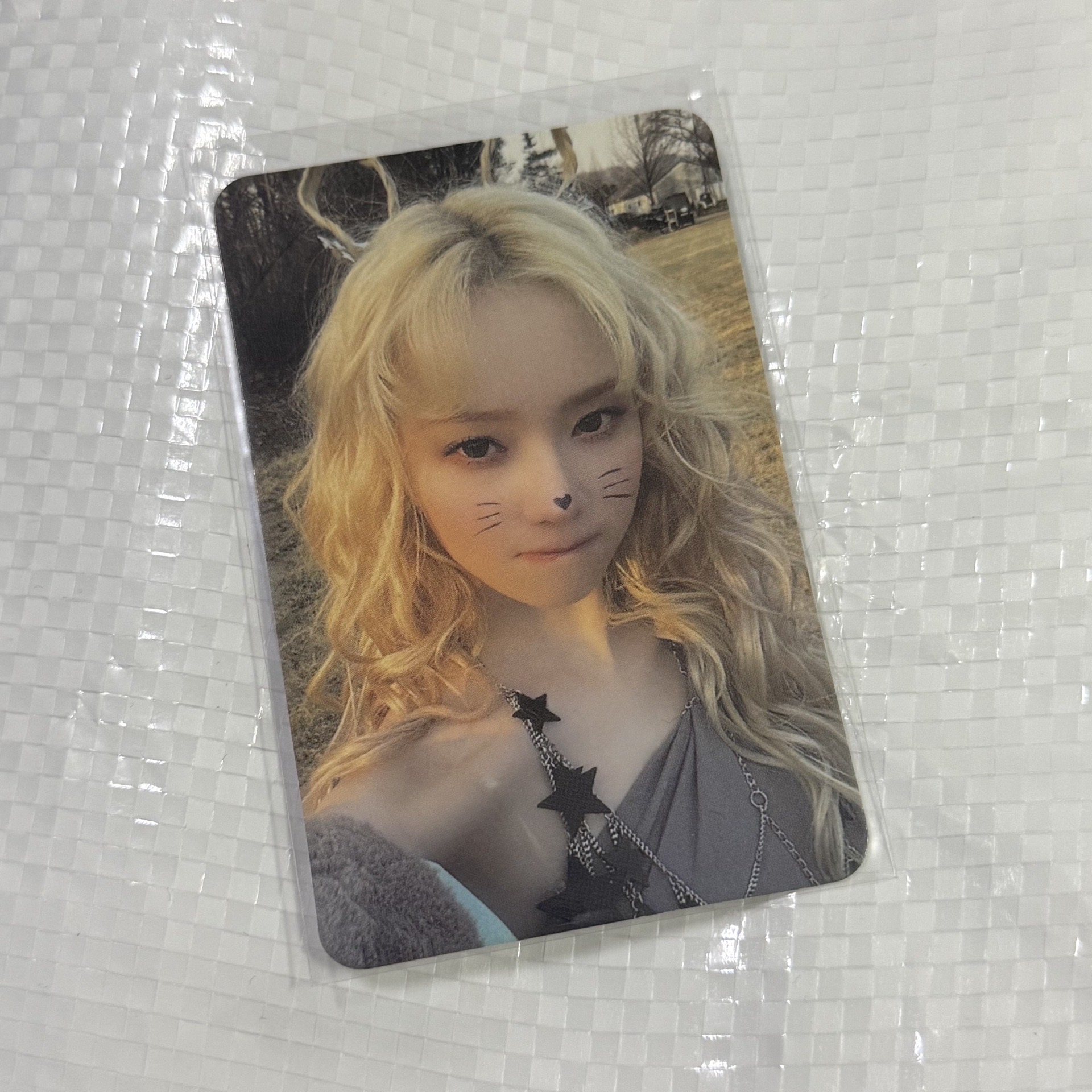 正規一 專輯卡 ZINE版冬 貓咪冬