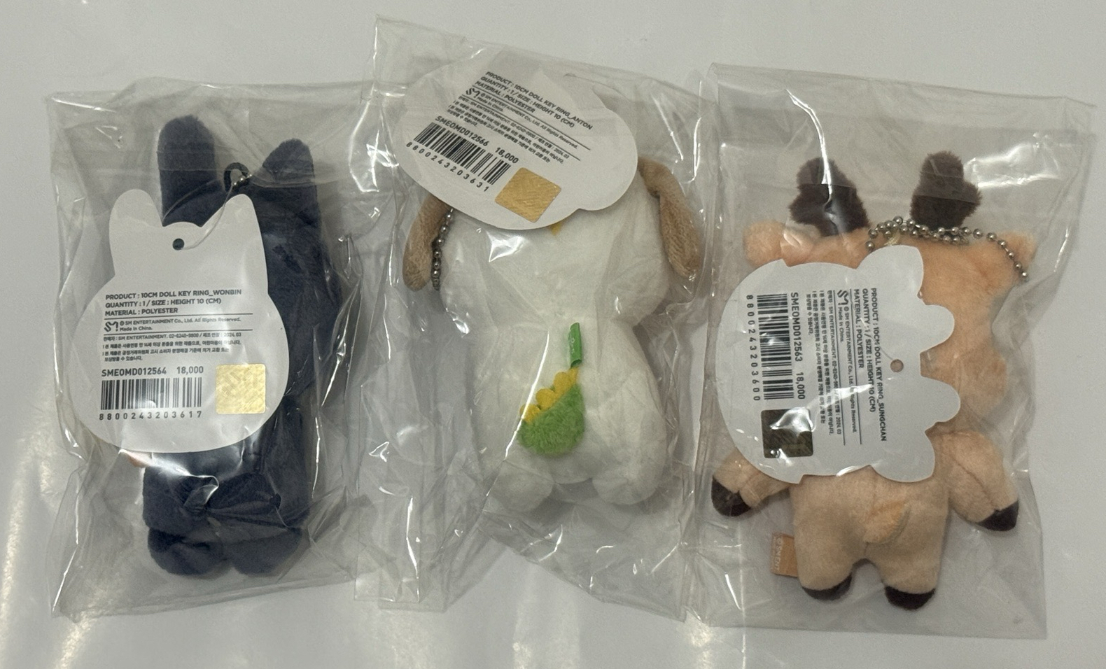 RIIZE 10cm 情人節 原皮 全新未拆